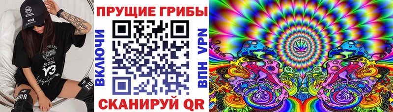 Купить где  Заречный  Псилоцибиновые грибы мицелий 